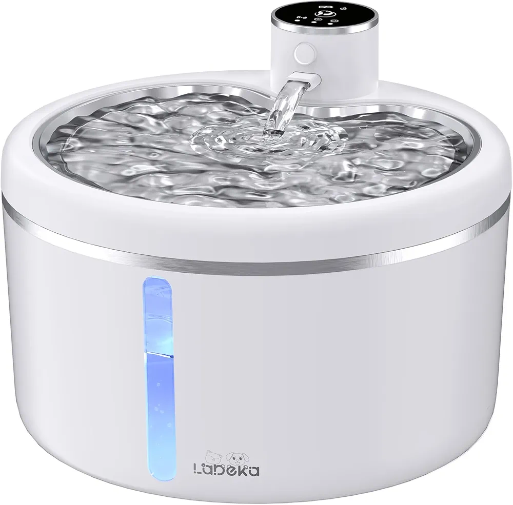 61kbelynmvl. ac uf1000,1000 ql80 fmwebp