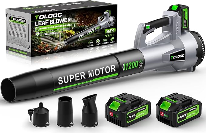 71uvd rbn2l. ac sx679