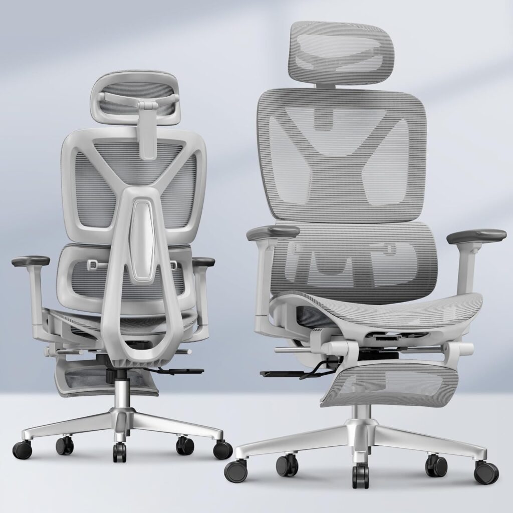 FLEXISPOT ErgoX Premium Ergonomic Office Chair with Footrest, Dynamic Lumbar Support, Adjustable 3D Armrests, Recline & Tilt Mesh Desk Chair for Home & Office, Light Grey 81it15scy6l. ac sl1500