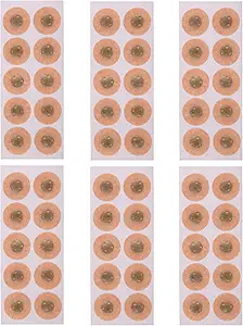 81nimnap+zl. ac sy300 sx300 ql70 fmwebp