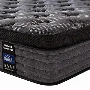 81igtuxx+5l. ac sy300 sx300 ql70 fmwebp