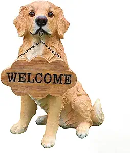 71ns apmeql. ac sy300 sx300 ql70 fmwebp