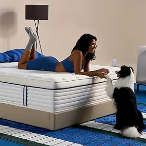61bwoizgxzl. ac sy300 sx300 ql70 fmwebp