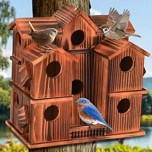 10-Room Wooden Birdhouse for Outdoors – Large Bird Nesting Box with Cleaning Doors 8113fbj6yel. ac sy300 sx300 ql70 fmwebp