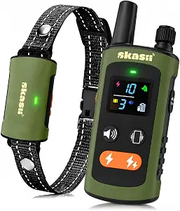 Dog collar 61j2rlcbrfl. ac sy300 sx300 ql70 fmwebp
