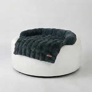 71zqnaxr1zl. ac sy300 sx300 ql70 fmwebp